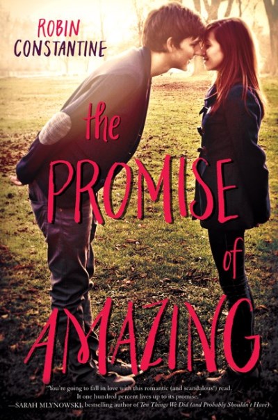 Robin Constantine/The Promise of Amazing